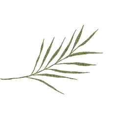 Joon by Joe Bae logo